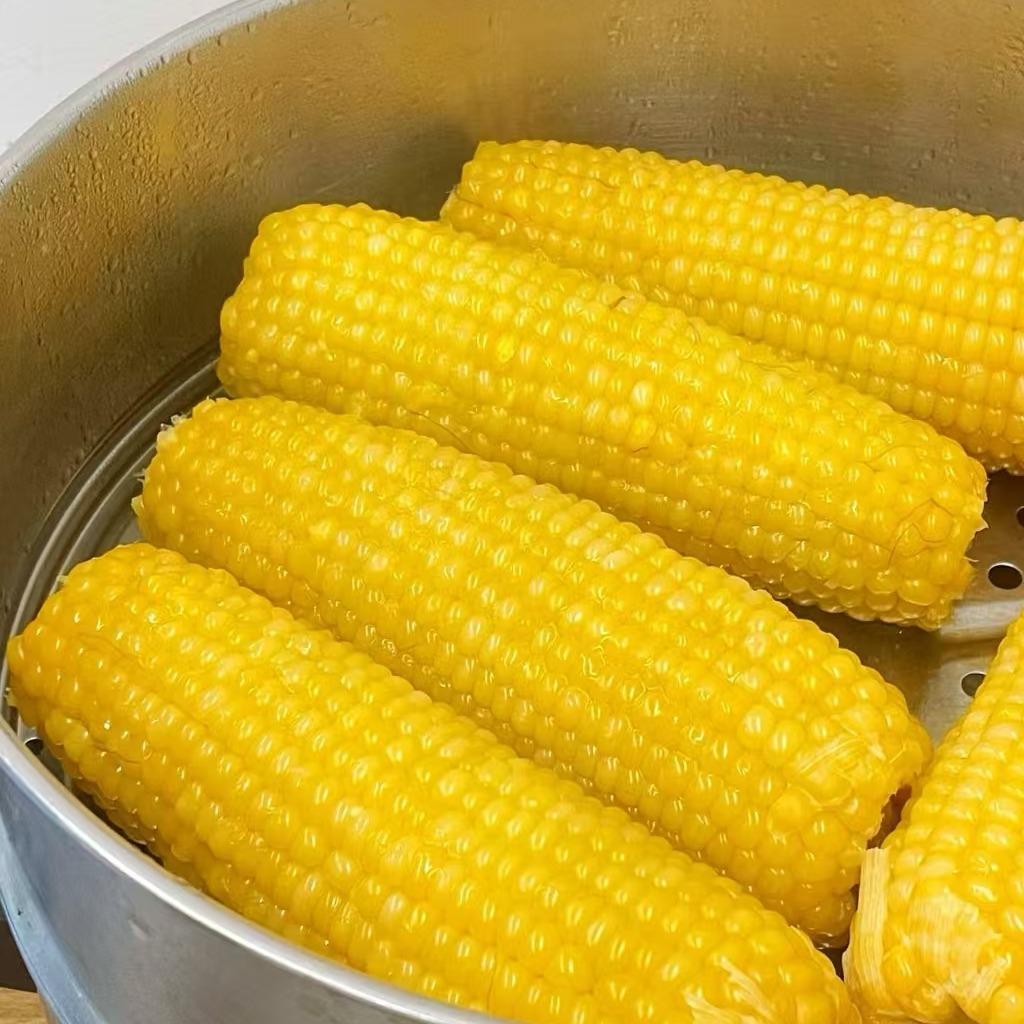 滕州东北粘玉米官方号