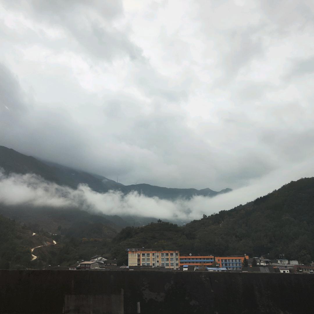 侯总新品发布荣通商行