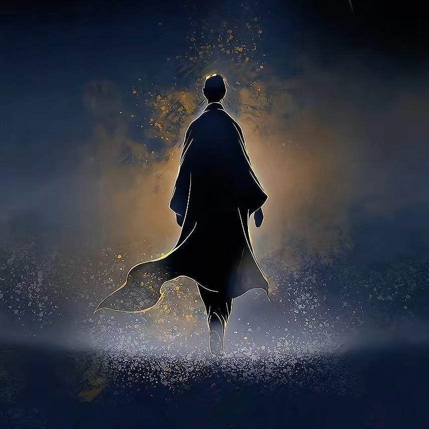 恒君居士直播号
