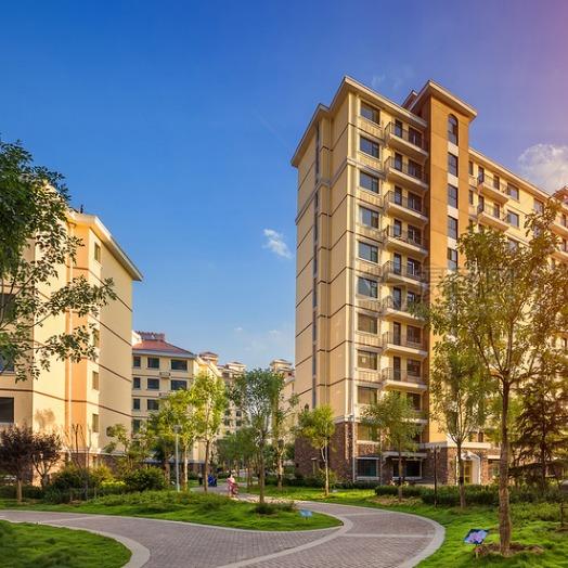 雨林古树茶慧慧直播号