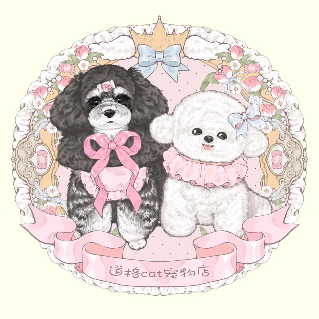 石家庄道格Cat宠物店