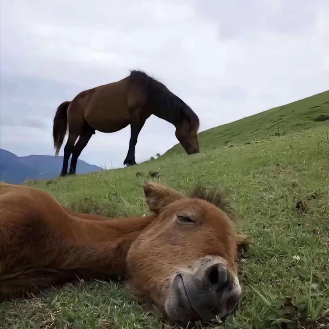晴天义匠绿园店