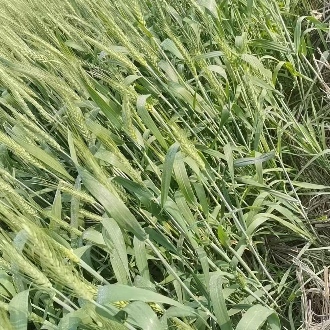 深圳市淮诺劳务有限公司客服号