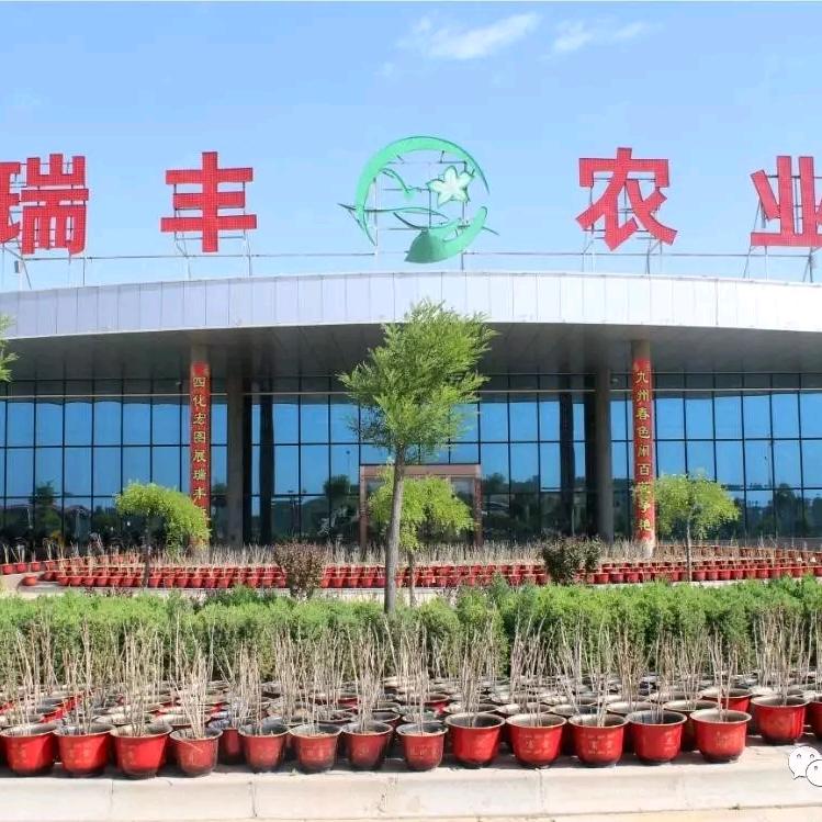 瑞丰生态庄园