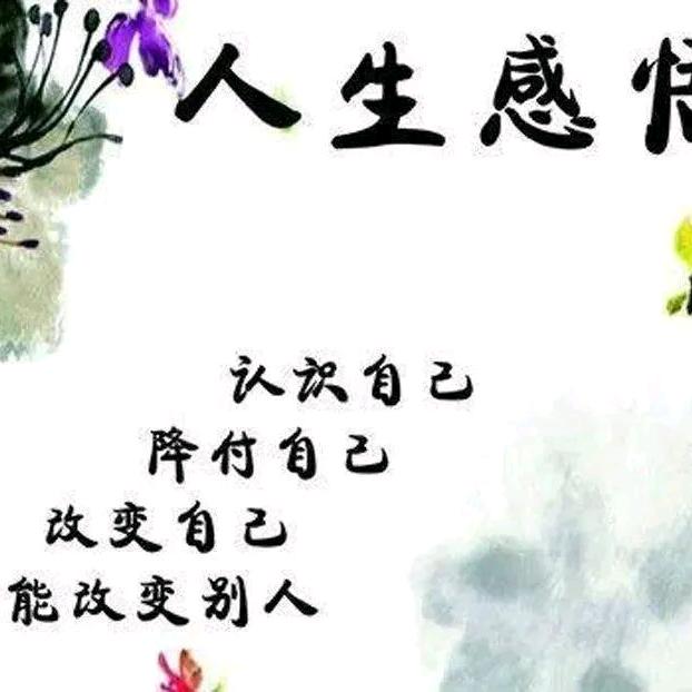 光头哥影视