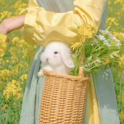 悦己小铺-俊梓荣