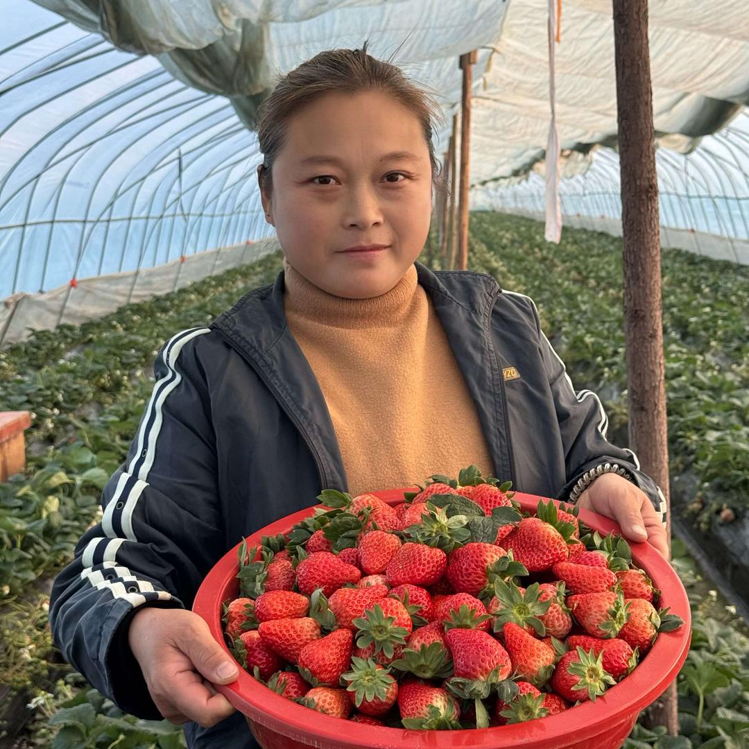 吴江区盛泽镇海英蔬果种植园