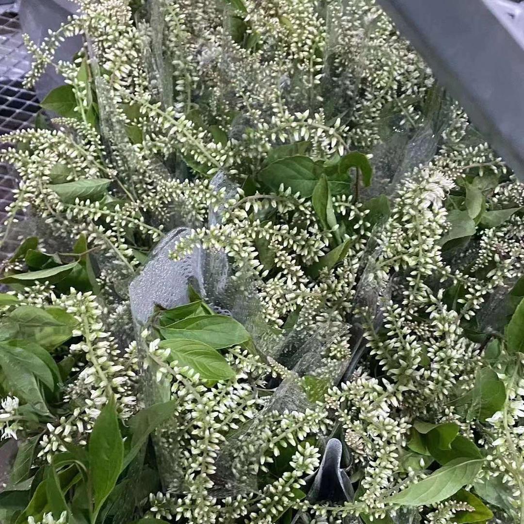 月娟花店