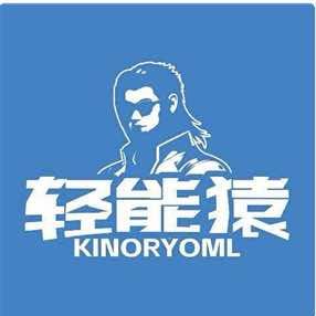 轻能猿手机维修(洪中路店)
