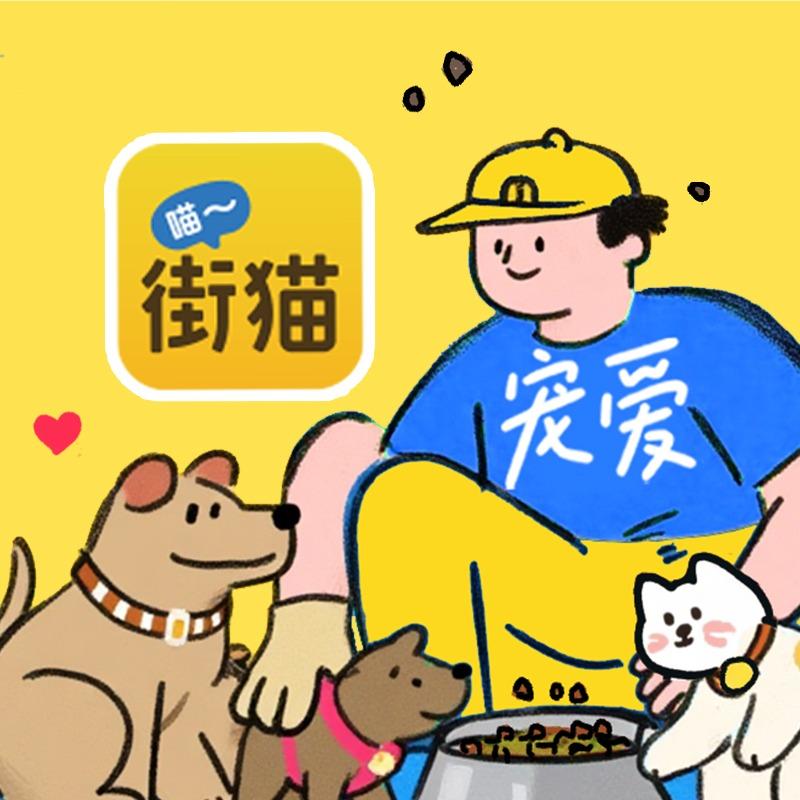街猫宠物服务（直播号）