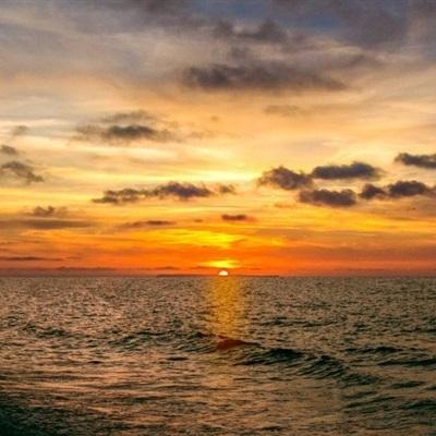 海流直播号