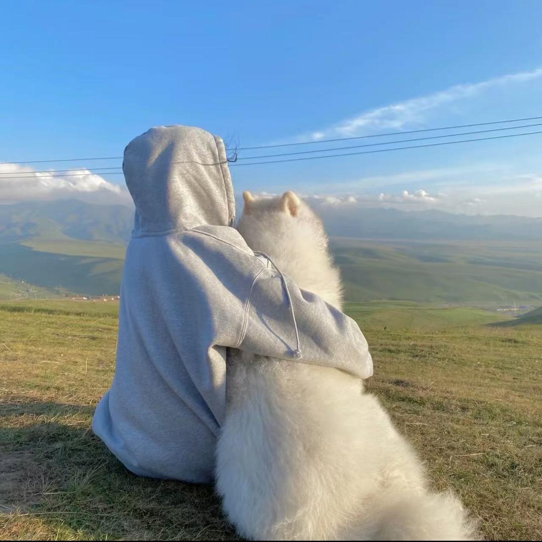 枕畔旅程