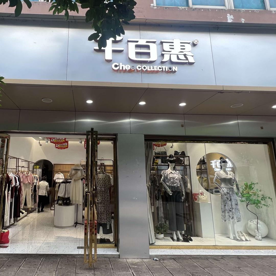 柏果千百惠福琴