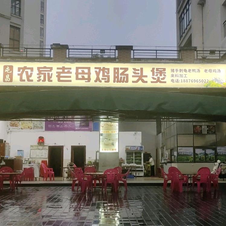 屯昌农家母鸡肠头煲