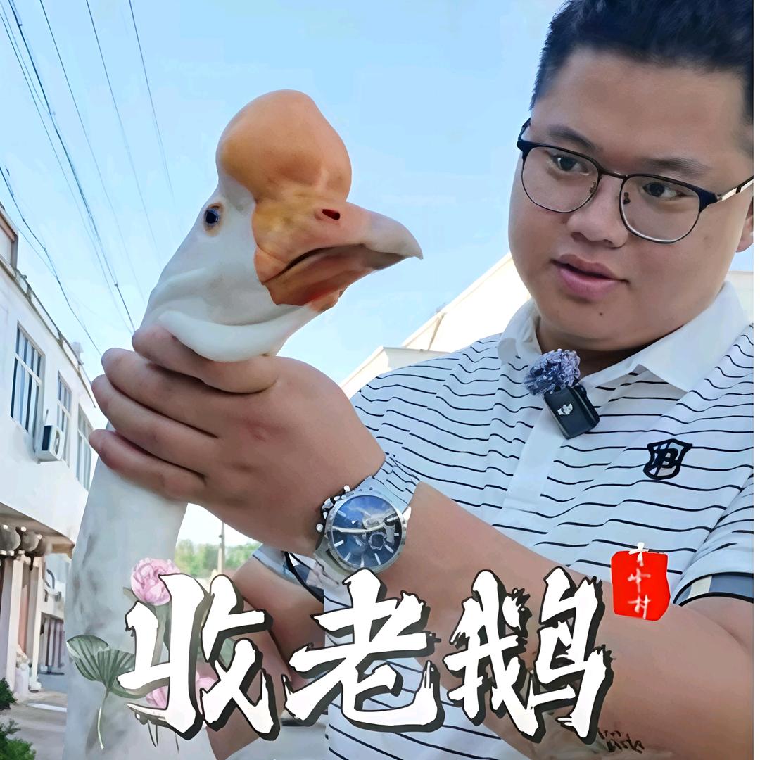 菜万三大别山鹅火锅(安丰店)官方号