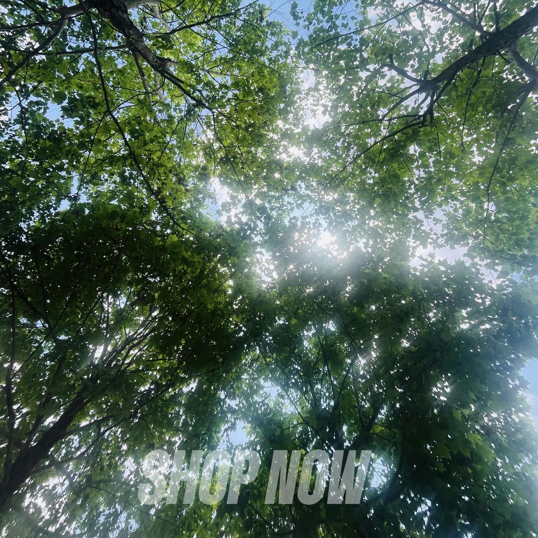 容声品质生活馆（华波家电）