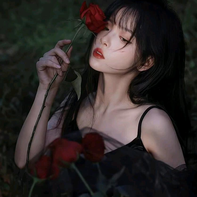 沙漠里的仙人掌