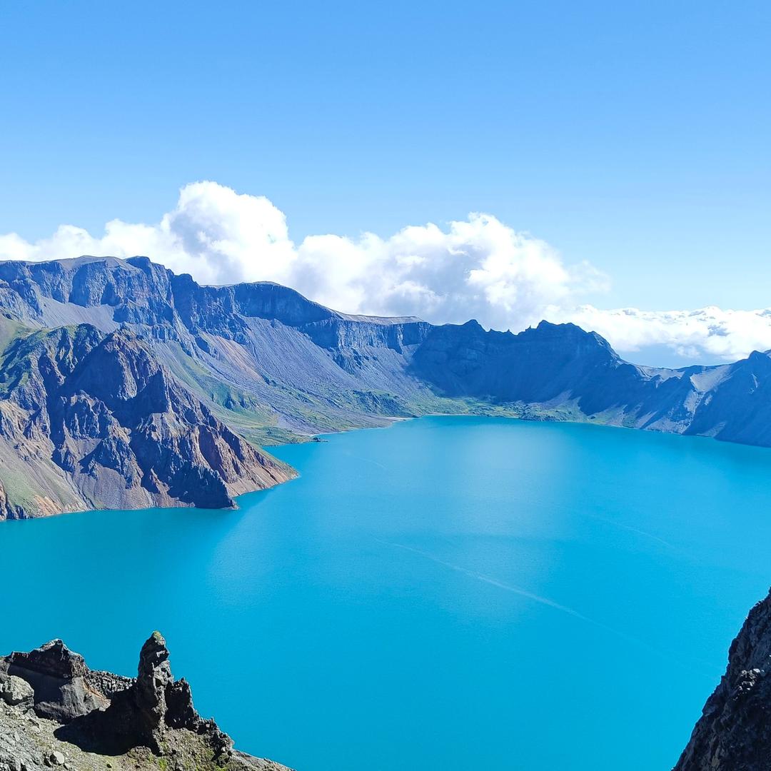 奇就阿吉古丽直播号