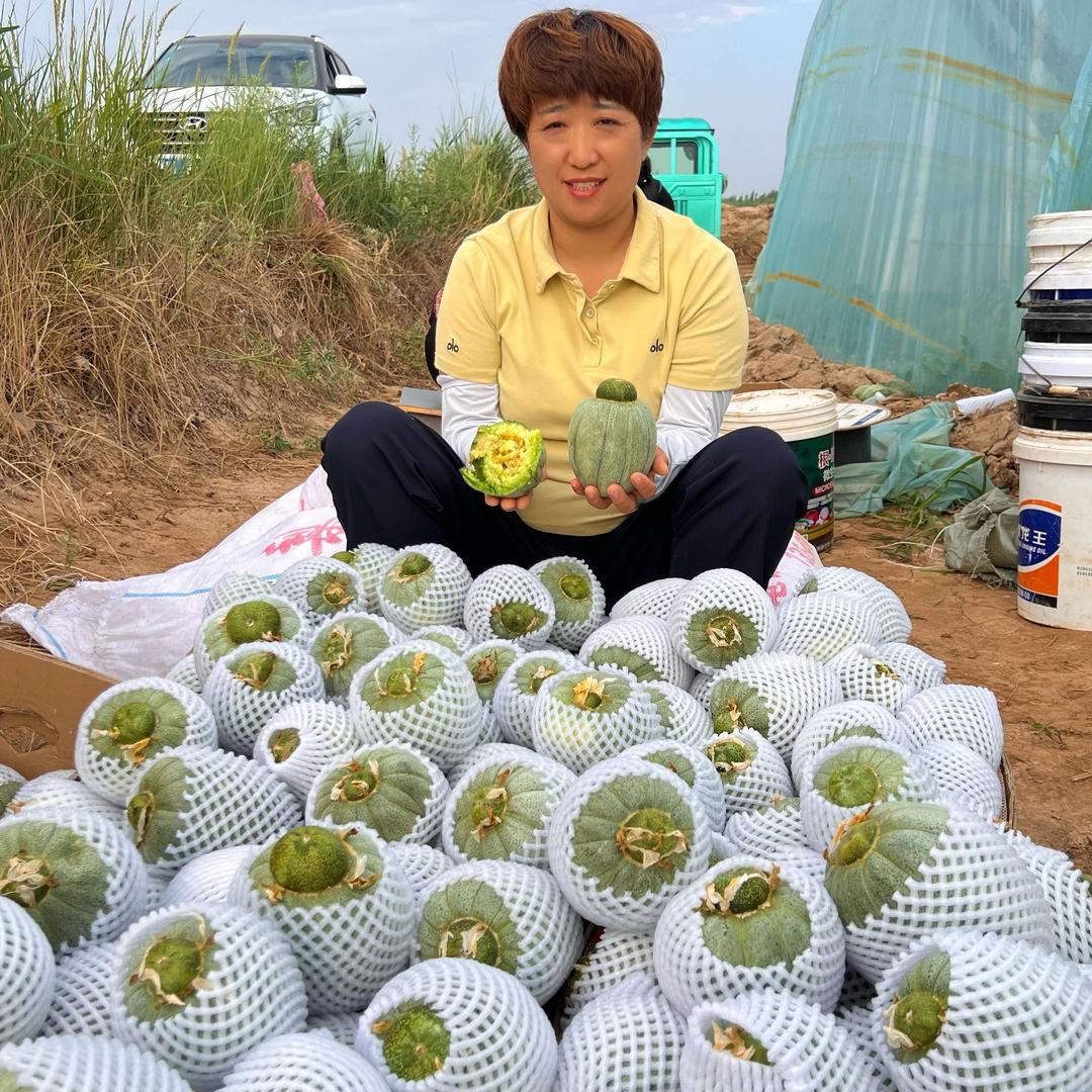 果囤·五原县美丽姐鲜果部