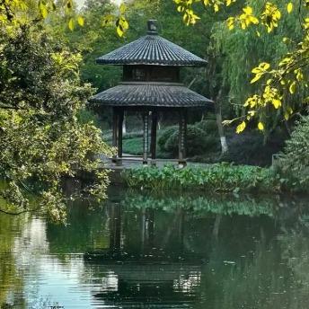 广桂企业服务娇娇直播号