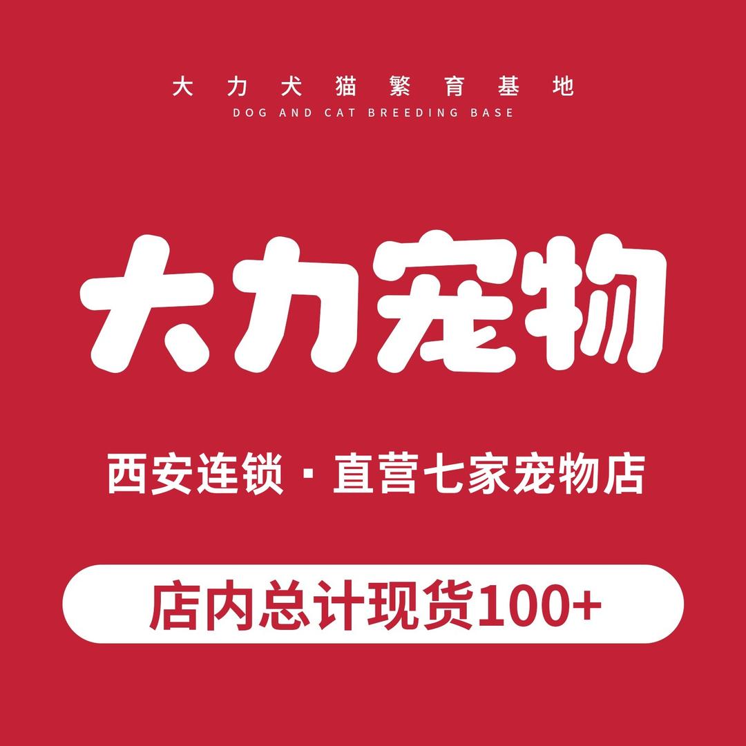 大力宠物（雁南公园店）