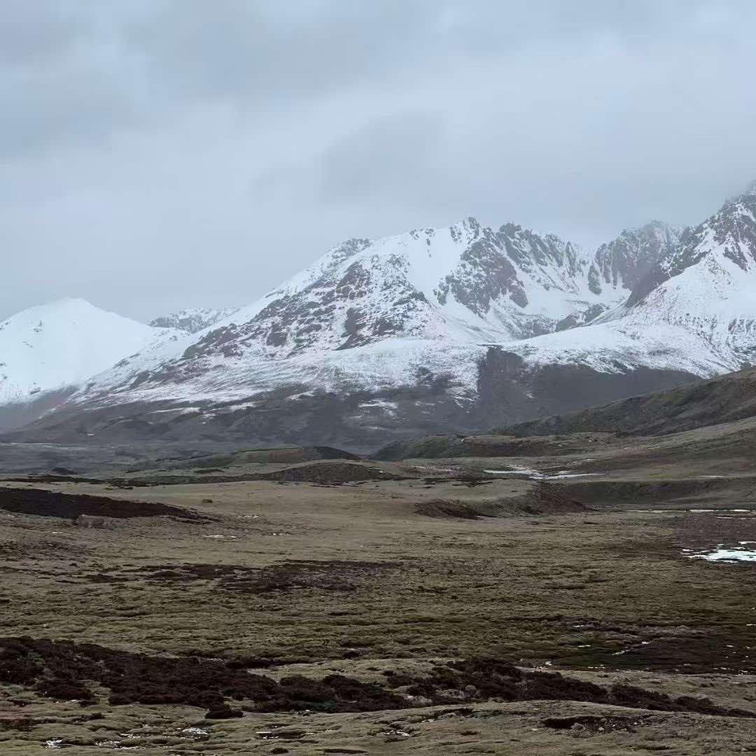 陆随酒店-二宠粉号
