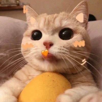 鑫旺达五金建材城噜噜 直播号