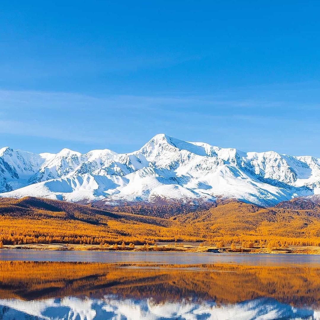 特强图文广告(怡新路店)汽喆不能开直播号