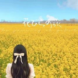 禾闫雁北直播号