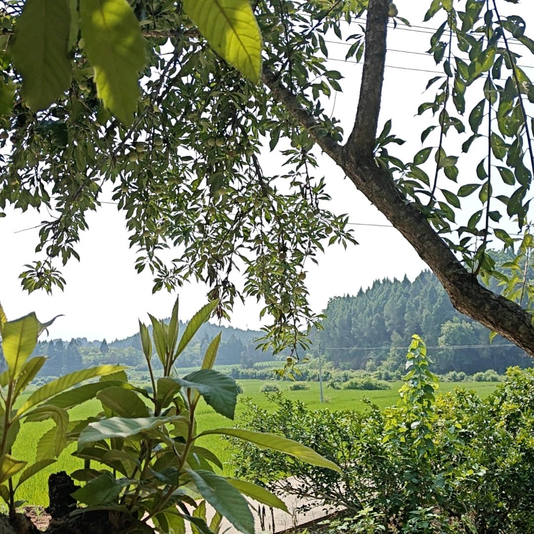 新车族汽车美容部(康王大道北店)2宠粉号