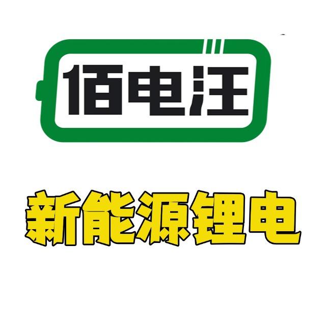 佰电汪新能源锂电