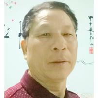 众木成林