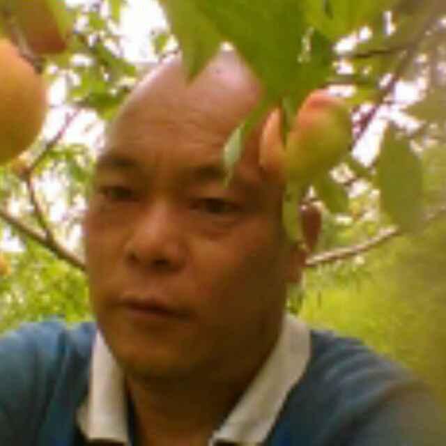 陈晨（出租麻将机，专业钻孔