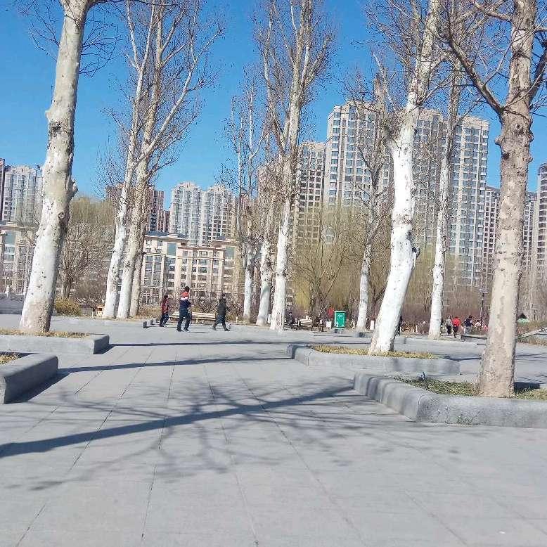 只打五个字