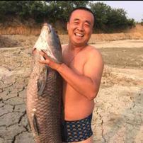 陈龙