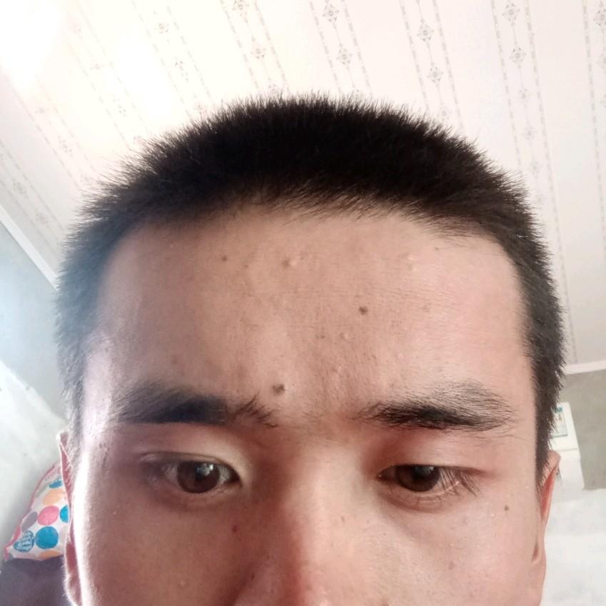 高扬