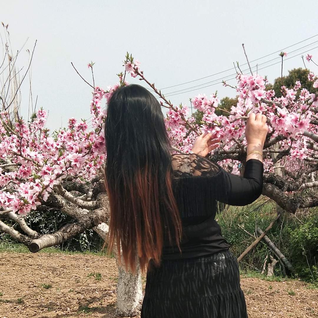 花来了🌹