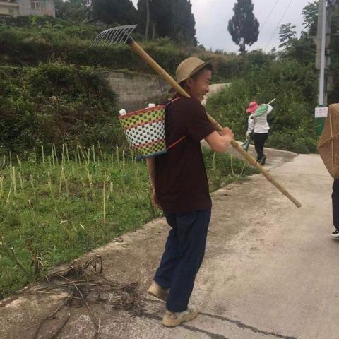 神马天下