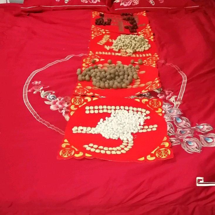 春夏秋冬《杨》