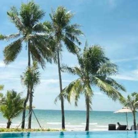 天涯93840208995天涯