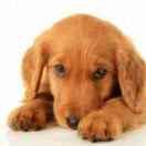 元气满满大帅哥