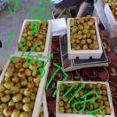 31前交叉韧带➕半月板3针