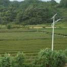 旧城旧巷等旧人