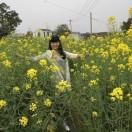 珠芬（多彩B座二楼南区38号）