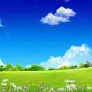 黄哥《橱窗好物》