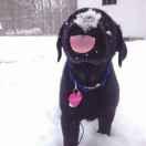 我叫你一声你敢答应吗