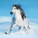  宥妳 己成习惯 