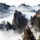 茅台