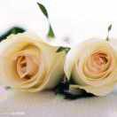 心简单，世界就简单