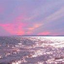 阳江大北农水产饲料